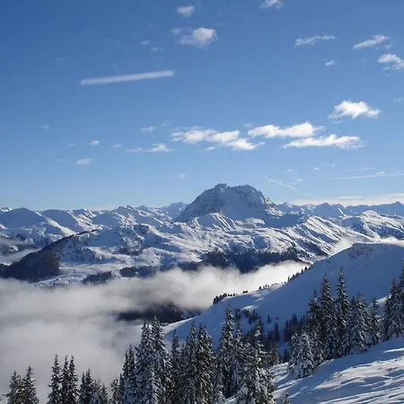 Stunningly Beautiful Chalet Peaceful Location Appartement Kirchberg en Tyrol